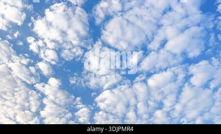 Scattered white clouds form a soft pattern across blue sky. Natural light creates even texture without strong contrast. Stock Photo
