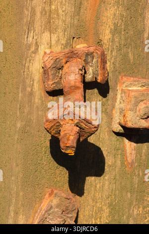 beautiful detail of two rusting old nuts and bolts with colourful stained wood on post of old sea defences, on the beach at Happisbourg, Norfolk Stock Photo
