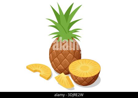 Isometric whole pineapple with slices and a half. Exotic tropical fruit with green leaf and brown texture. Fresh healthy food element for grocery Stock Vector