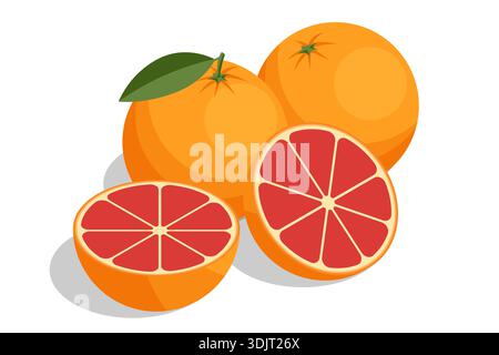 Isometric illustration of whole grapefruit and cut half with red pulp and green leaf. Fresh citrus fruit for diet, juice, and healthy lifestyle Stock Vector