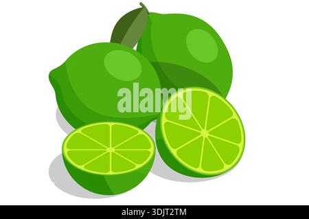 Isometric illustration of whole lime and cut half with green leaf. Fresh sour citrus fruit for cocktail, juice, and healthy food design. Organic green Stock Vector