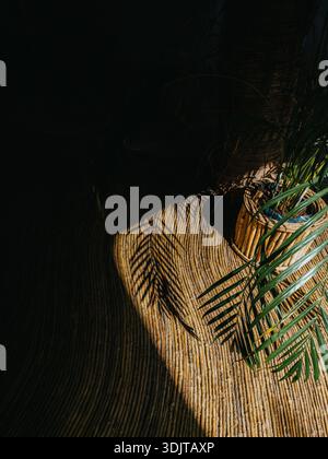 Minimalist composition of palm leaf shadows cast across a woven natural surface in Tulum, Mexico. Stock Photo