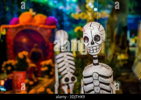 Altars, offerings, skeletons and decorations during the Day of the Dead celebration in Mexico. Stock Photo