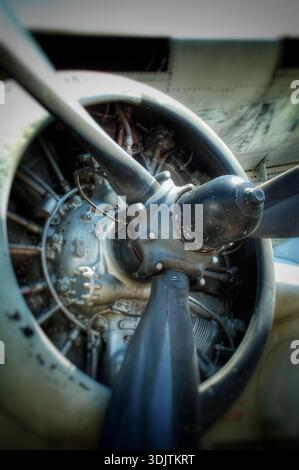 Vintage aircraft Radial engine maintenance Stock Photo - Alamy