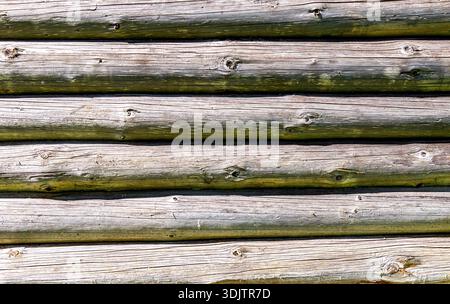 Old wall of round wooden logs with natural patterns as background in gray color. Wooden logs texture Stock Photo