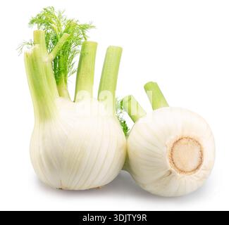 Florence fennel bulbs or finocchio bulbs on white background with clipping path. Stock Photo