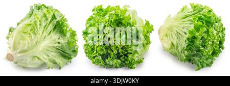Wavy ruffled leaves of Batavia lettuce on white background. File contains clipping path. Stock Photo
