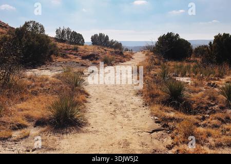 Dry desert path winding through arid landscape with shrubs and sandy soil. Natural trail in semi desert environment under clear sky. Stock Photo