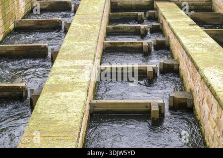 Borken, NRW, Germany, Fish ladder controlling water flow with concrete ...