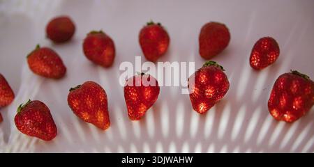 Fresh strawberries arranged in pattern on white background with light shadows Stock Photo