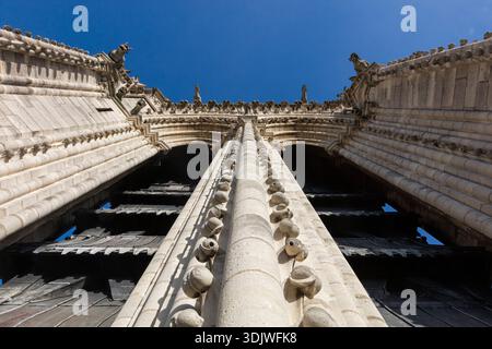 The new  tower tour  of Notre-Dame Cathedral  is a great way to get a different perspective of the structure  - Paris, France Stock Photo