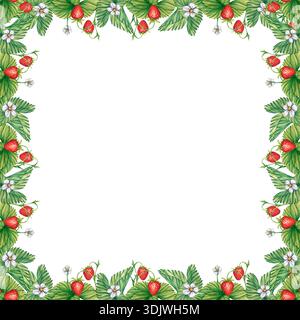 Watercolor square frame with strawberry. Strawberry border of leaves and berries with space for text. Illustration of Ripe strawberries for tea, jam Stock Photo