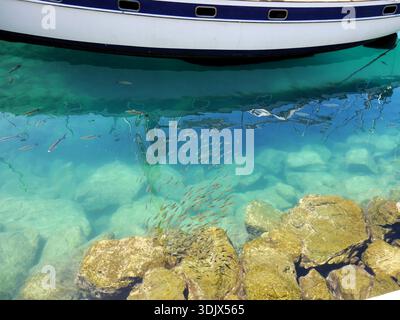 Clear, turquoise water in a harbour with a school of fish. Stock Photo