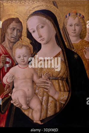 Matteo di Giovanni - Madonna and Child with Saints and Angels - Walters ...