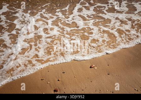 White bubbly sea foam washes over golden sand on a beach, forming a tideline. Small pebbles and stones dot the wet shore, showing gentle surf patterns Stock Photo