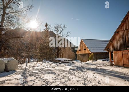 Sunlit Slovenian alpine farmstead with wooden barns and snow covered yard, long shadows and lens flare in winter morning light, set in a quiet mountai Stock Photo