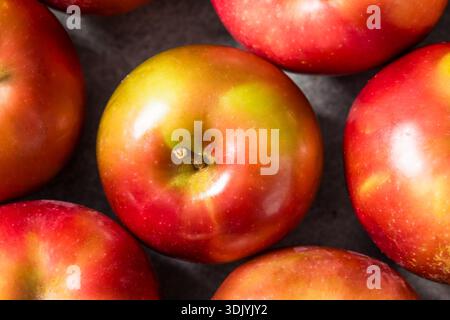 Healthy Seasonal Red Mcintosh Apples in a Bunch Stock Photo
