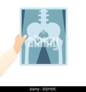 A doctor's hand in a white coat holding an X-ray of the pelvis against a white background. Concept for diagnosing bone problems and fractures. Stock Vector