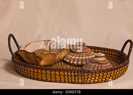 Elegant Spa Still Life with Shell Containers and Ornate Bowl 16204 Stock Photo
