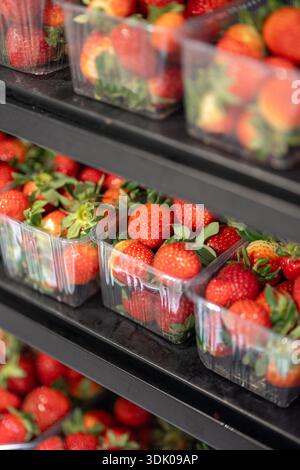 Fresh red strawberries packed in plastic containers and displayed in refrigerator unit for storage. Stock Photo