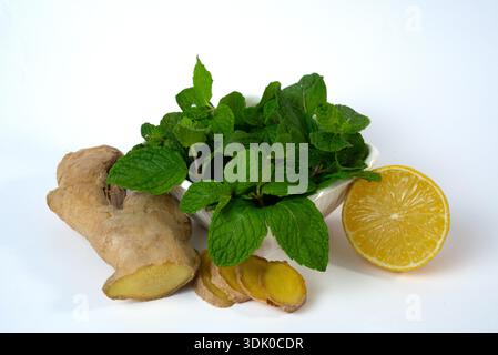 Lemon slices with ginger root and mint leaves isolated on white. Concept of detox water, immunity boost and healthy nutrition. High quality photo Stock Photo