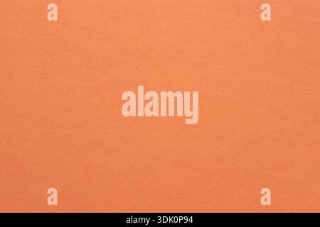 Warm Coral Orange Textured Paper Background Minimalist Design with Copy Space Surface Stock Photo