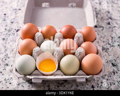One dozen of free range hen eggs in a gray carton on a granite kitchen counter surface Stock Photo
