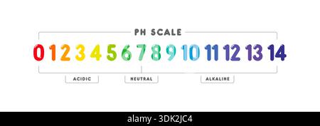 0-14 numerical ph scale. ph scale concept. acidic, neutral, alkaline. Stock Vector