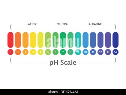 acidic and alkaline scale. ph chart on white background. vector pH scale. Stock Vector