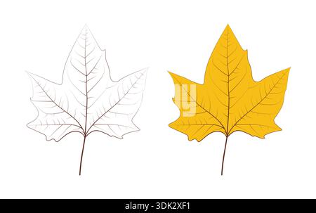 detailed leaf drawing. hand drawn yellowed leaf illustration. Stock Vector