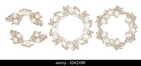 Set of longan fruit frames for labels and food or cosmetic designs. Vintage linear sketch outline frames vector set. Illustrations isolated on transpa Stock Vector