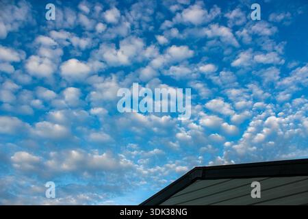 A dramatic blue sky filled with textured, rippling altocumulus clouds resembles cotton balls and forms a striking natural pattern. Stock Photo