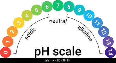 Ph scale for alkaline and acid balance. Water with a neutral indicator value. The meter is used in chemistry, food, and medicine. Stock Vector