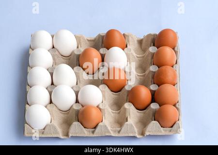 White and brown eggs in a carton box on a blue background Stock Photo