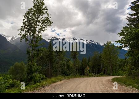 A dirt road winds through a quiet forest, curving away from distant snow-dusted peaks beneath a soft, overcast sky. Stock Photo