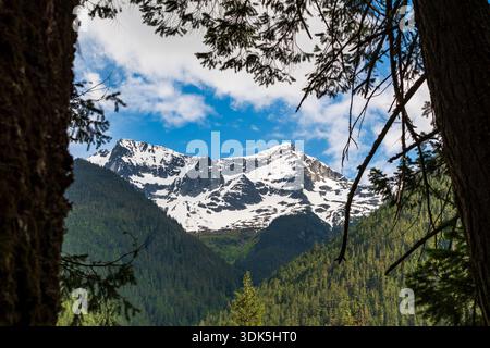 A rocky, snow-covered peak rises behind forested terrain and tree-lined foreground under a mostly sunny sky in British Columbia. Stock Photo