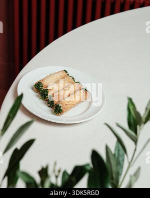 Minimalist plate showcasing healthy herbal wrap delicacies Stock Photo