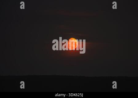 Orange moon glows brightly in the dark night sky, showing its half phase with vivid red and yellow hues, creating a dramatic celestial scene above a distant forest horizon Stock Photo