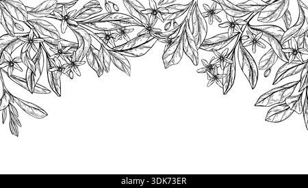 Monochrome vector blooming citrus flowers, buds, leaves on branch isolated horizontal border. Etching drawing of lemon, mandarin orange blossoms frame Stock Vector