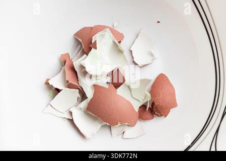 Peeled eggshells on a white plate, close-up. Top view. Stock Photo