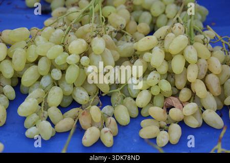 close up of sultana grapes in the market Stock Photo