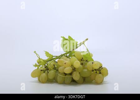a cluseter of seedless grape isolated on white Stock Photo