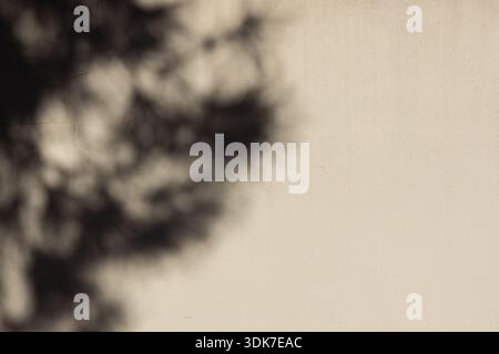 Soft shadows of tree branches and leaves cast by strong sunlight onto a light textured wall, creating a natural abstract pattern with high contrast an Stock Photo