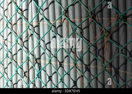 Close-up of a green chain-link fence superimposed over a grey, vertical privacy screen made of poles. Bright sun creates sharp, diagonal shadows of th Stock Photo