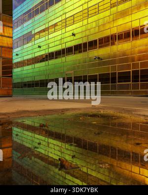 View of a vibrant building facade reflecting in a puddle, creating a kaleidoscope of colors against the concrete, Almere, Flevoland, Netherlands. Stock Photo