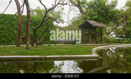 empty wooden bench and birdcage shelter on green lawn, mature trees and hedge wall reflected in calm pond water with copy space, urban landscaping Stock Photo