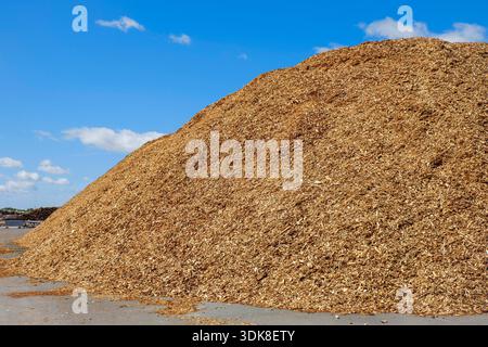 Storage place with piles of wood chips Stock Photo