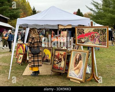 Outdoor market, town of Sutton,  Eastern townships, Quebec, Canada Stock Photo