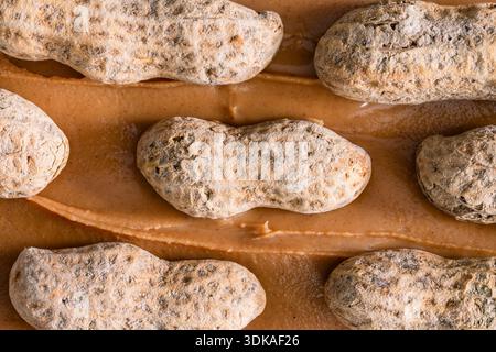Whole, roasted peanuts, in shells, on a background of creamy peanut butter Stock Photo