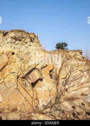 Close up view of a rough natural yellow and brown rocky cliff face with dry vegetation, geological texture background. Stock Photo